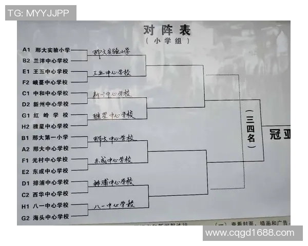 成都篮球队的控制体系与战术解析：全面提升球队竞争力的关键因素