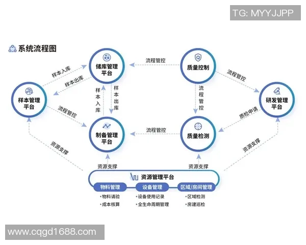 杭州乒乓球队区域防守革新之路探索与实践分析