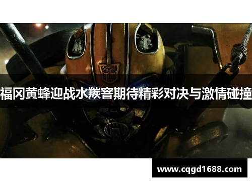 福冈黄蜂迎战水羰窨期待精彩对决与激情碰撞