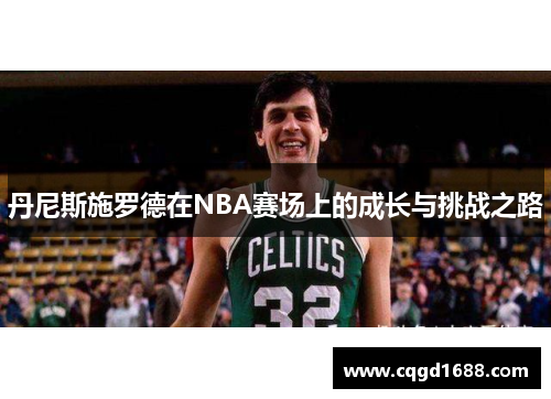 丹尼斯施罗德在NBA赛场上的成长与挑战之路